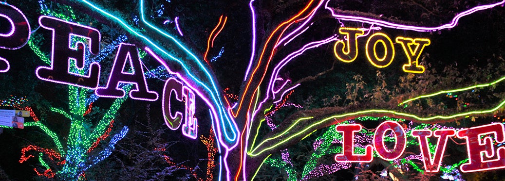 lighted signs at the Houston Zoo reading peace, joy, love