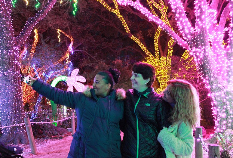 Students at the Houston Zoo Lights