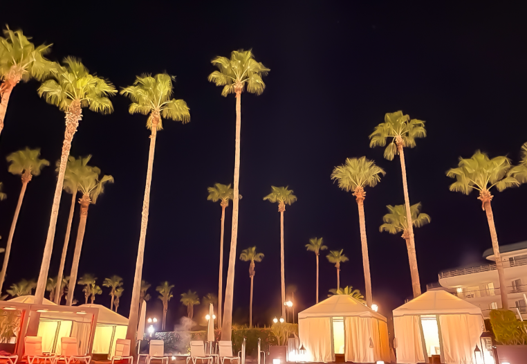 A nighttime view of the tall palm trees around the Grand Josun Hotel’s pool